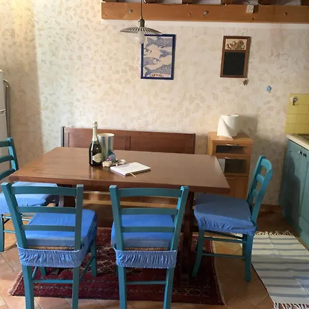 Il Polpo Blu Rio dellʼElba