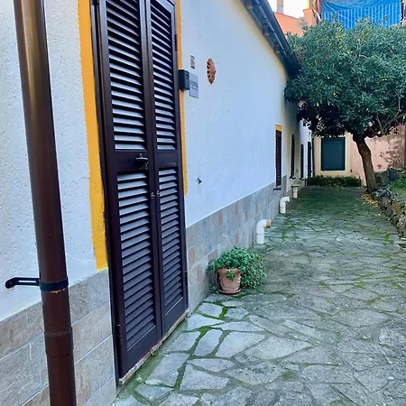 Il Polpo Blu
