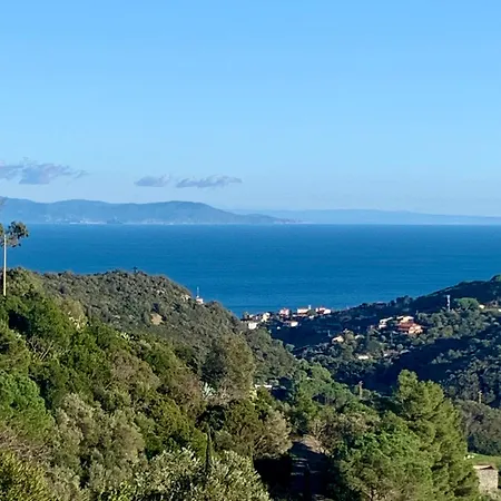 Il Polpo Blu Rio nell'Elba