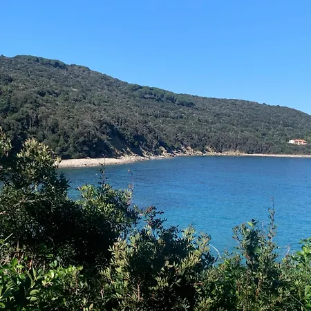 Il Polpo Blu *