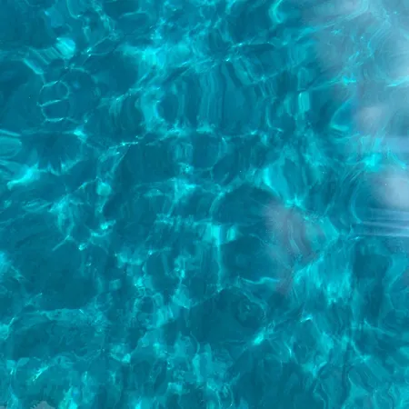Il Polpo Blu Rio nell'Elba