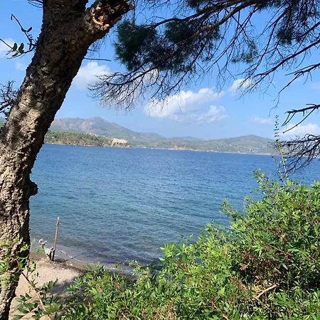 Il Polpo Blu * Rio nell'Elba