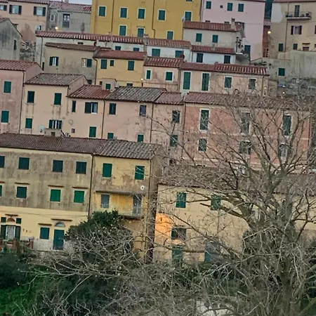 Il Polpo Blu *