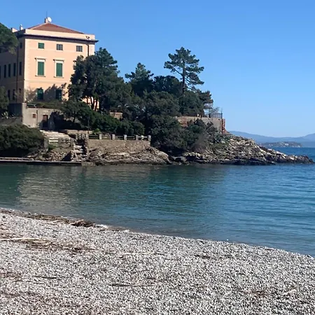 Il Polpo Blu