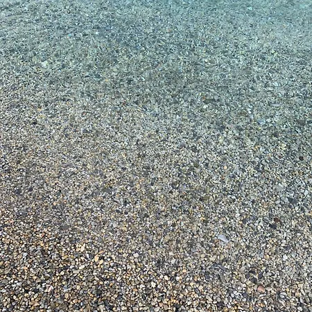 Il Polpo Blu