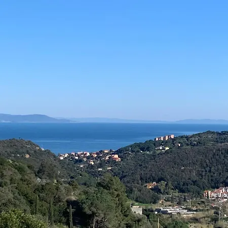 Il Polpo Blu