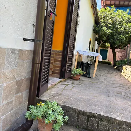 Holiday home Il Polpo Blu *