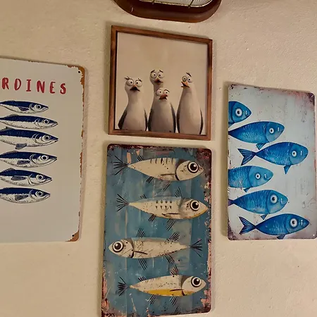 Il Polpo Blu *
