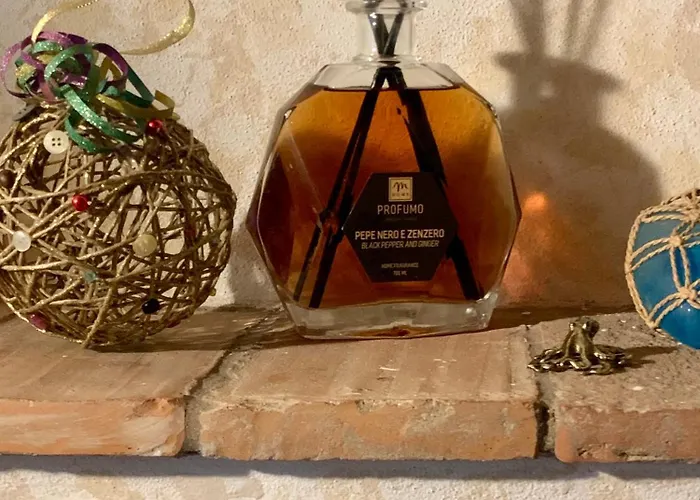 Il Polpo Blu Rio dellʼElba