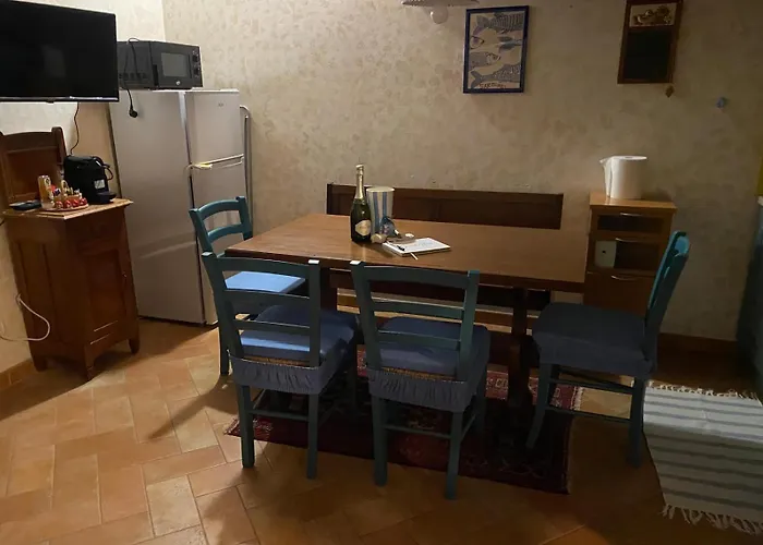 Il Polpo Blu Rio dellʼElba