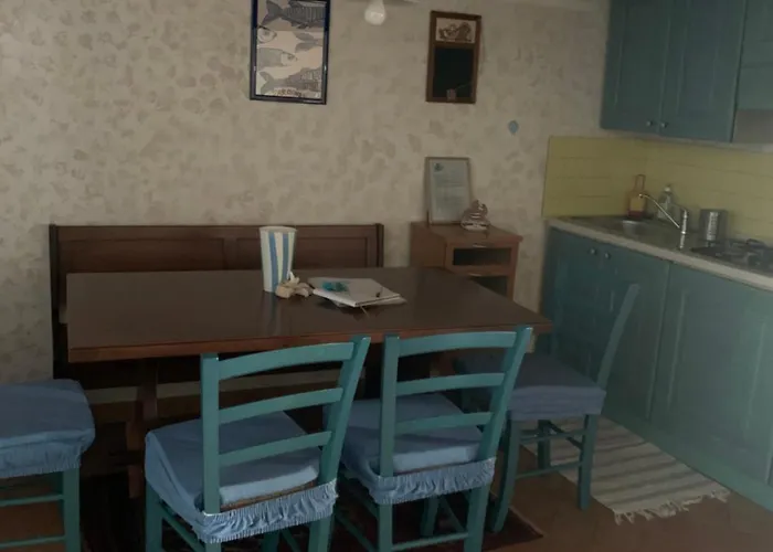 Il Polpo Blu Rio dellʼElba