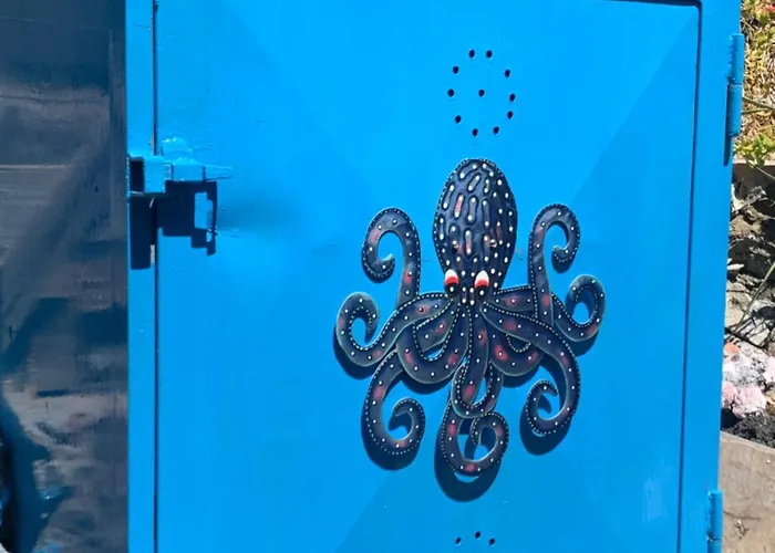 Il Polpo Blu Rio dellʼElba