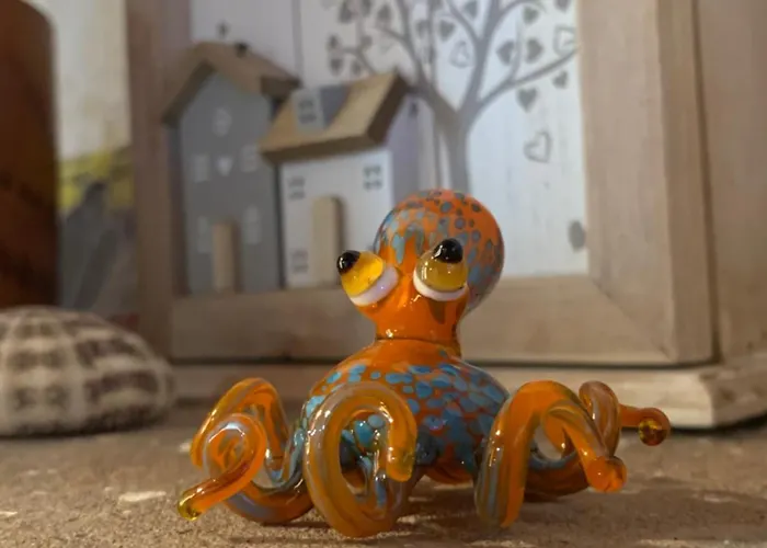 Il Polpo Blu * Rio dellʼElba