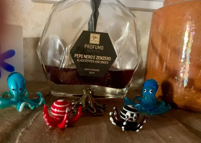 Il Polpo Blu Rio dellʼElba