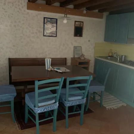 Il Polpo Blu Rio dellʼElba