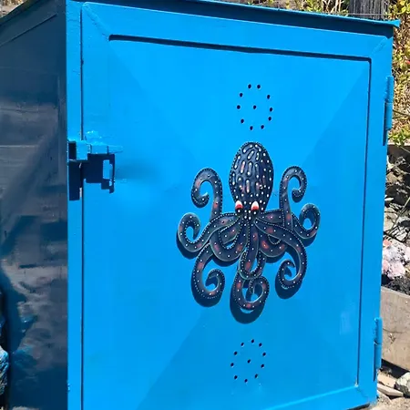 Il Polpo Blu Rio dellʼElba