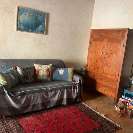 Il Polpo Blu Rio dellʼElba