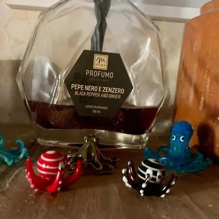 Il Polpo Blu Rio dellʼElba