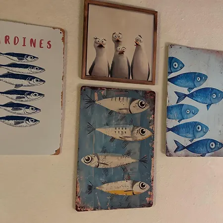 Casa vacanze Il Polpo Blu *