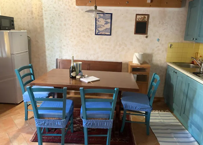 Il Polpo Blu Rio dellʼElba