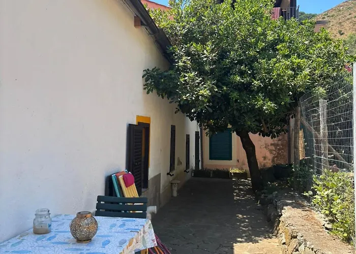 Il Polpo Blu Rio dellʼElba